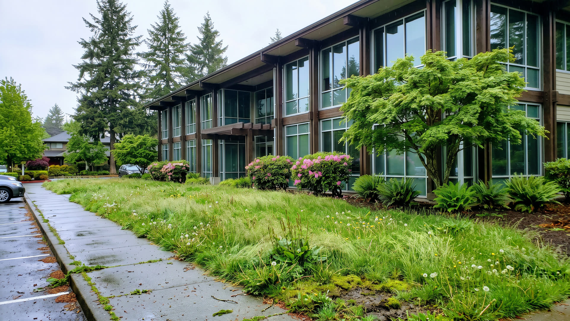 Before: Neglected commercial property with overgrown landscaping